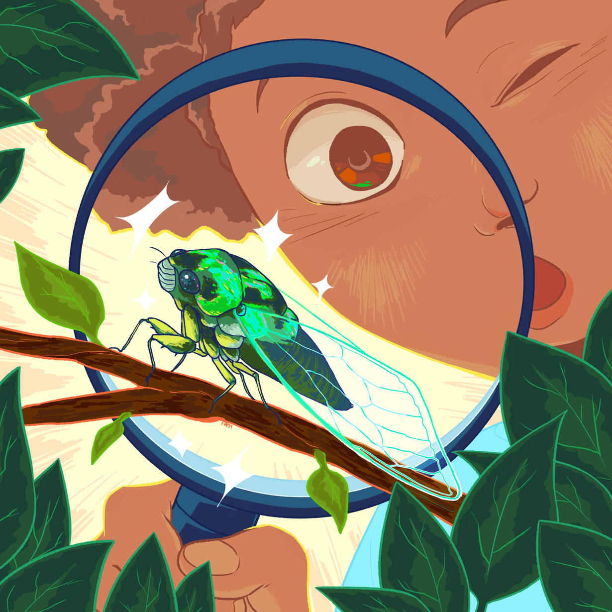 Discovery